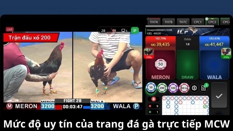 Mức độ uy tín của trang đá gà trực tiếp MCW