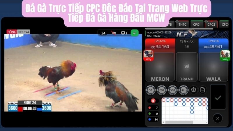 Đôi nét về đá gà trực tiếp CPC tại trang web đá gà trực tiếp MCW