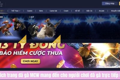 Đá Gà Trực Tiếp CPC Độc Đáo Tại Trang Web Trực Tiếp Đá Gà Hàng Đầu MCW