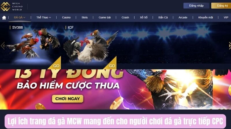 Lợi ích trang đá gà MCW mang đến cho người chơi đá gà trực tiếp CPC