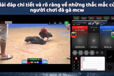 MCW – Sân Chơi Đá Gà Mcw Đỉnh Cao Cho Giới Cá Cược Online
