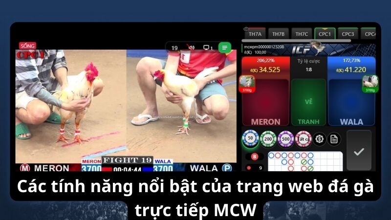 Các tính năng nổi bật của trang web đá gà trực tiếp MCW